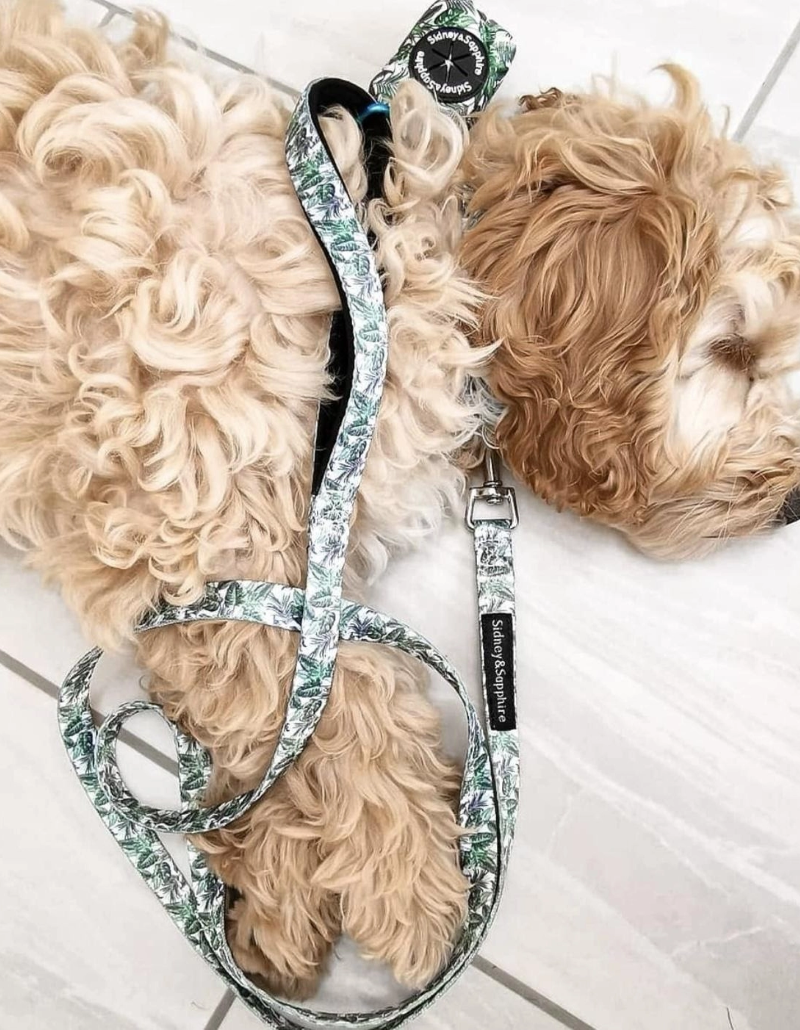 S&S - Collier pour chien « Botanical Bella »