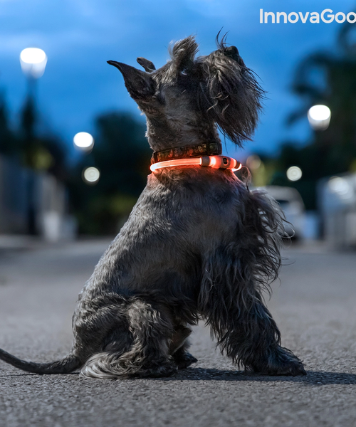 InnovaGoods - Collier pour animaux de compagnie à LED