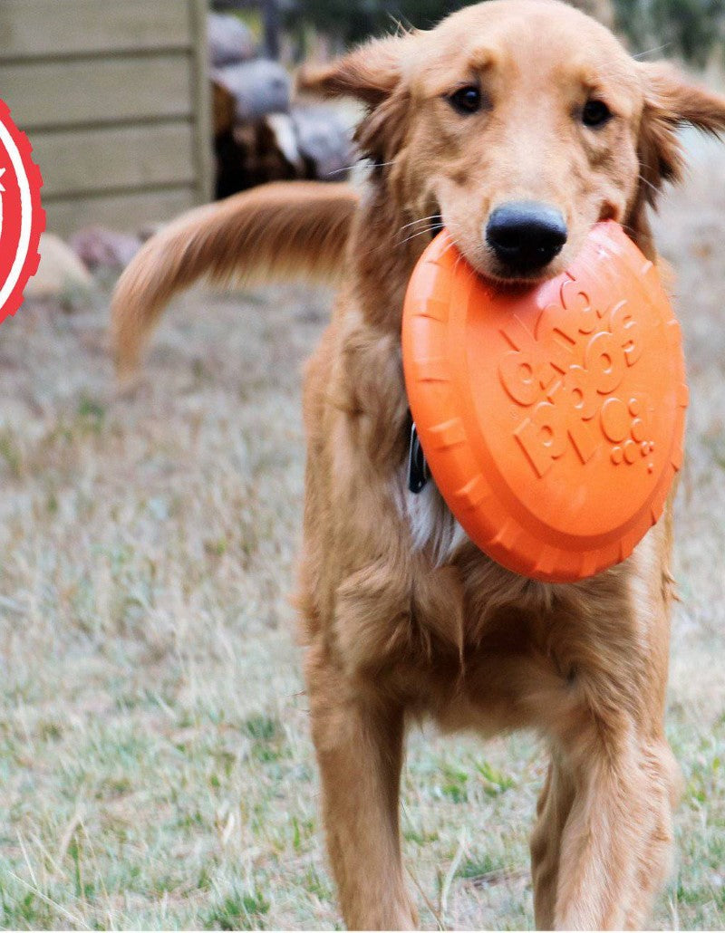 SodaPup - Jouet à lancer Frisbee