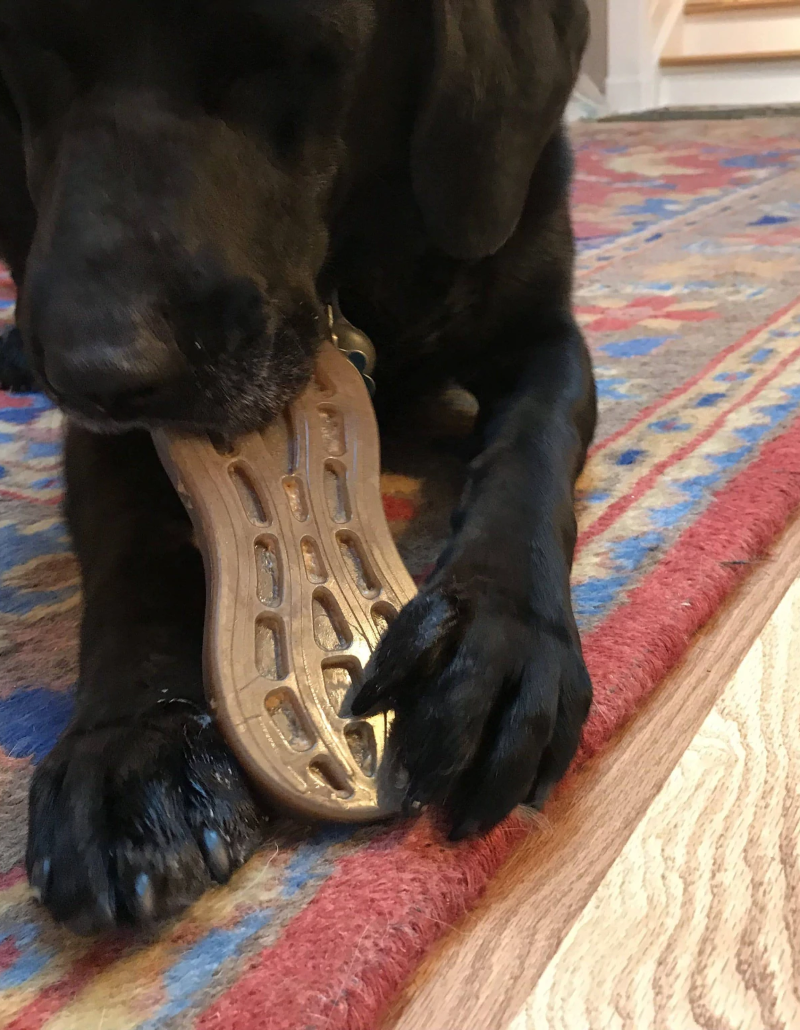 SodaPup - Jouet à mâcher Peanut